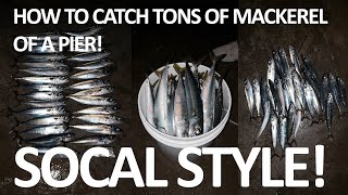 How to catch mackerel off a pier SOCAL STYLE [upl. by Ayihsa]