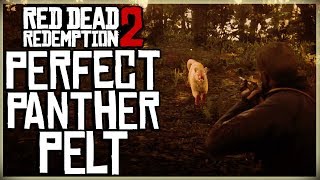 HOW TO GET A PERFECT PANTHER PELT  RED DEAD REDEMPTION 2 PRISTINE PANTHER HUNT [upl. by Einoj]