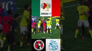 GOLES tijuana 🆚 puebla futbolmexicano jornada17 [upl. by Oilut978]