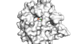 Triose phosphate Isomerase [upl. by Rhoda]