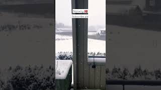 😍❄️55°c Norway Narvik travel norway shortvideo narvik snowfall shorts [upl. by Lovering]