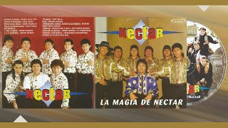 Grupo Néctar  quotCasarme Noquot  La Magia De Néctar 1999  Audio De CD Alta Calidad [upl. by Luhem]