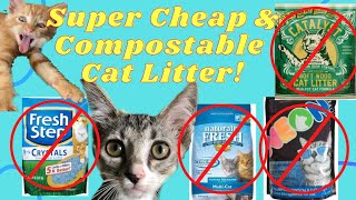 The BEST Cat Litter 😻A CHEAP amp Safe Option You Havent Heard of [upl. by Yorel]