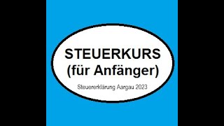 Steuerkurs für Anfänger  Steuererklärung Aargau 2023 [upl. by Fruma]