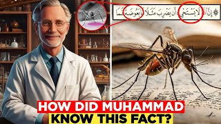 THE MIRACLE OF MOSQUITOES IN THE QURAN WHAT DOES SCIENCE SAY  Islam And Intellect [upl. by Aytac468]