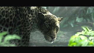 The Legend of Tarzan  Rivela la tua natura  Featurette dal film  HD [upl. by Kere]