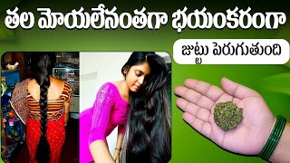 తల మోయలేనంత భయంకరంగా జుట్టుపెరుగుతుందిFastest Hair Growth Remedy In Telugu hairgrowthoil haircare [upl. by Onra731]