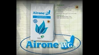 AIRONE WG ENGLISH LANGUAGE [upl. by Eneluj]