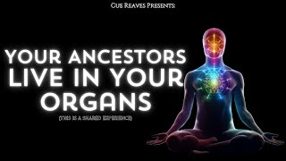 Cue Reaves  Your Ancestors Live in Your Organs this is a shared experience [upl. by Enneles]