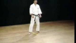 Shotokan Kata Jion  Kanazawa Hirokazu [upl. by Hannah488]