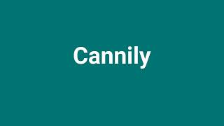 Cannily Meaning and Pronunciation [upl. by Samul195]