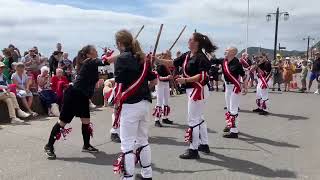 Sidmouth Folk Festival 2024 [upl. by Heda689]