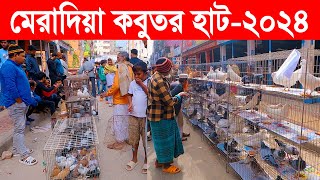 মেরাদিয়া কবুতর হাট২০২৪  kobutor hat 2024  pigeon market in bangladesh  meradiya kobutor hat [upl. by Ayotac]