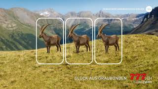 Glück aus Graubünden  Steinbock  Casino777 [upl. by Egiap]