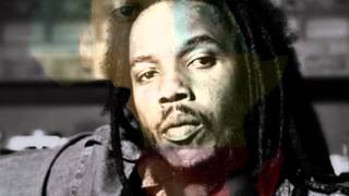 Stephen Marley Now I Know [upl. by Ahsaz]