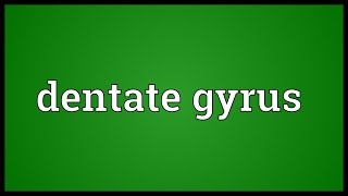 Dentate gyrus Meaning [upl. by Batruk]