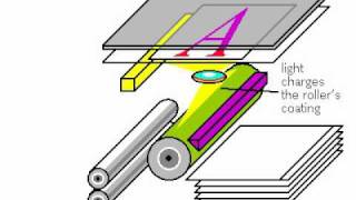 Basic Explanation of Xerography [upl. by Tound236]