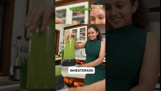 Health Benefits of Wheatgrass shivangidesaireels superfood weightlosstips [upl. by Ynaoj]