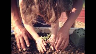 Youth Empowerment Through Urban Agriculture  Lisa Barker  TEDxRochester [upl. by Dreher336]