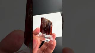 Brookite from Baluchistan Pakistan  Fine Art Minerals  Brookite [upl. by Philomena]