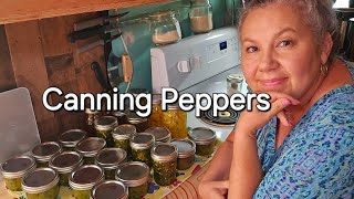 Canning Bell Peppers and Onion Pepper Relish Day 2 [upl. by Vesta]