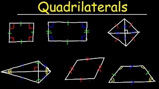 Quadrilaterals  Geometry [upl. by Sherrill]