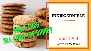 Indiscernible Meaning amp Pronunciation  English amp Hindi Vocabulary  VocabAct [upl. by Phio815]