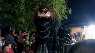 Barongan manak NWB live Getasombo [upl. by Nylesoy]