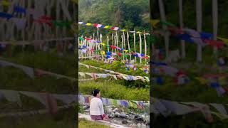 Thong Ma Ngo 🤍 tiktok bhutan 🍀😍 [upl. by Hgielyk]