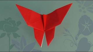 Origami Schemetterling Origami Papierfaltkunst lerner [upl. by Noreg]