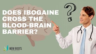 Does Ibogaine Cross the BloodBrain Barrier [upl. by Ecissej]