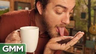 Cat Poop Coffee Taste Test [upl. by Hafirahs672]