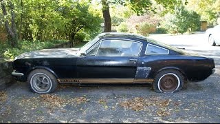 The quotBarn Findquot 1966 Shelby GT350H Mustang sitting for decades  The Auto Archaeologist [upl. by Yeltneb]