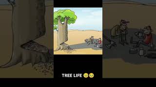 Tree life history 🥹🥹🥹🥰🥰🥹 [upl. by Trescha]