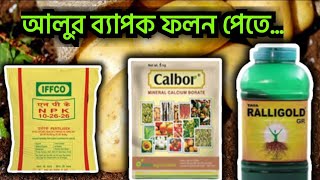 আলুর ব্যাপক ফলন পেতে রাসায়নিক সার Micronutrients humic acid amino acid Potato cultivation [upl. by Ryley]