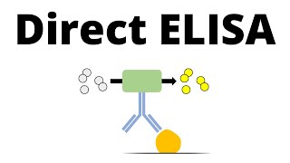 Direct ELISA in 1 minute [upl. by Yarehs]