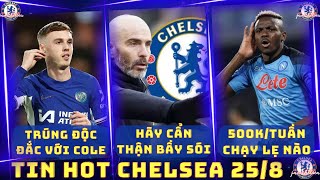 TIN CHELSEA 258 OSIMHEN ĐÒI 500K BẢNGTUẦN CHELSEA CHẠY LẸ TRÚNG ĐỘC ĐẮC VỚI PALMER CẨN THẬN SÓI [upl. by Ajnotal663]