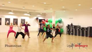 Amrit Saab  Sardaar  Bhangra Dance Steps amp Tutorials  Learn Bhangra [upl. by Anua]