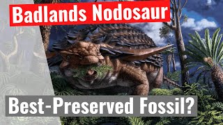 Badlands Nodosaur  Is This The Best Preserved Fossil Ever Discovered [upl. by Eduam]