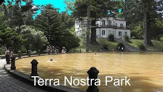 AZORES Terra Nostra Park Furnas  São Miguel Island [upl. by Grazia633]