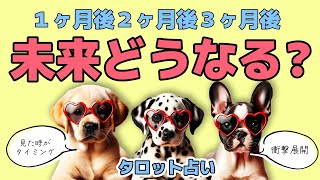 あなたの未来どうなる？超全力タロット鑑定🦩🪺✨【タロット占い】あなたの近未来を超詳細リーディング🦄🪺✨衝撃の展開を迎えます🐿🪺✨【３択占い】 [upl. by Ellerret163]