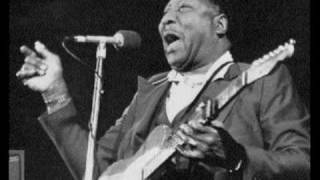 Muddy Waters amp Johnny Winter  Mannish Boy [upl. by Ecinwahs957]