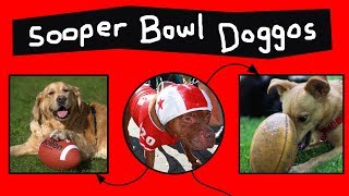 Doggos do the Sooper Bowl [upl. by Gnak]