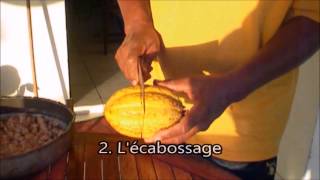 Du cacao au chocolat une fabrication artisanale ancrée dans la tradition Martiniquaise [upl. by Winslow]