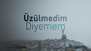 İbrahim Tenekeci  Üzülmedim Diyemem [upl. by Ennalorac653]