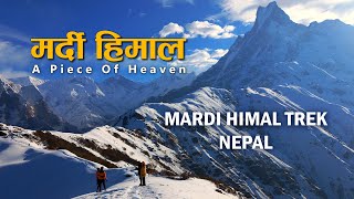 Our 5 Days Mardi Himal Trek in Nepal  4200M above Annapurna Region travelvlog [upl. by Tzong]