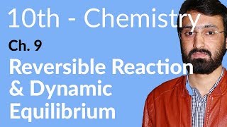 Class 10 Chemistry Chapter 9Reversible Reaction Dynamic Equilibrium10th Class Chemistry Chapter 1 [upl. by Shanleigh453]