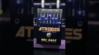 Way Huges Atreides Analog Weirding Module  BIG Sound [upl. by Aiki]