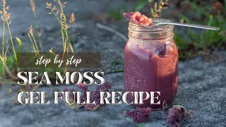 Make IRISH SEA MOSS Chondrus Crispus GEL RECIPE Step by Step Video  Creative Phebe [upl. by Enerol]