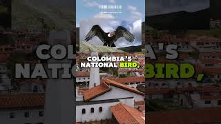 100 Amazing Facts About Colombia South Americas Hidden Gem  Complete Country Guide p21 facts [upl. by Ainedrag]